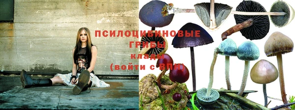 дурь Россошь