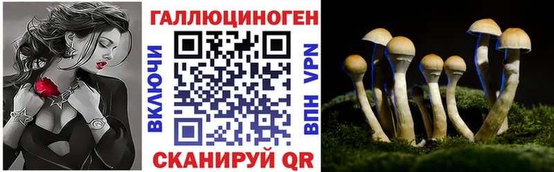 Галлюциногенные грибы мухоморы  Спас-Клепики 